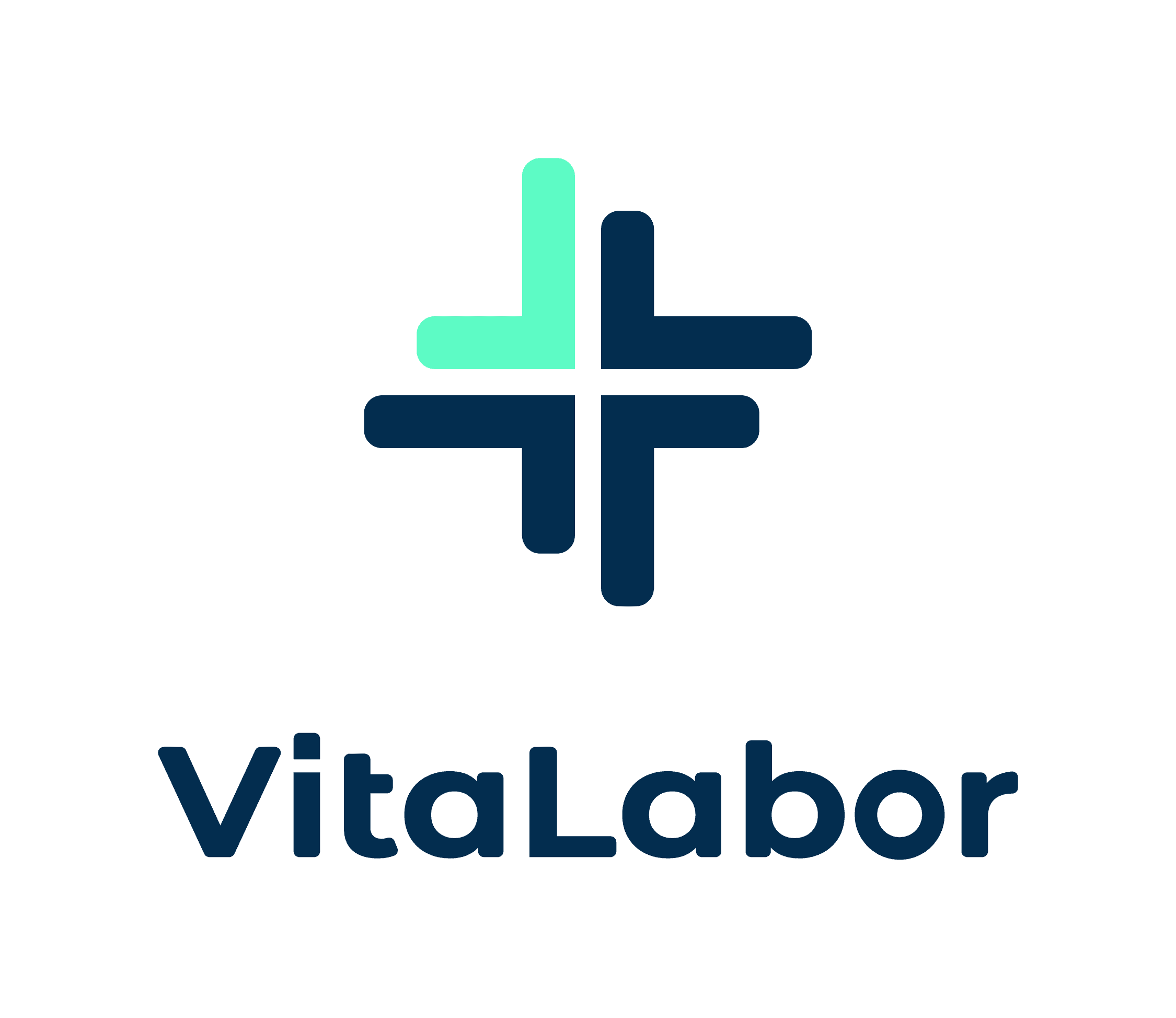 Logo de VitaLabor